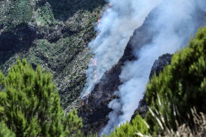 Δραματική Κλιμάκωση των Δασικών Πυρκαγιών στην Πορτογαλία