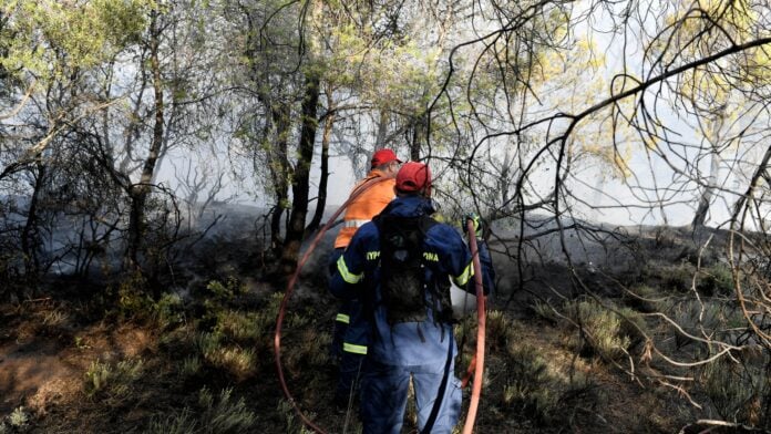 Φωτιά στο Παγgaίο Όρος από ανθρώπινο χέρι και κλιματική κρίση